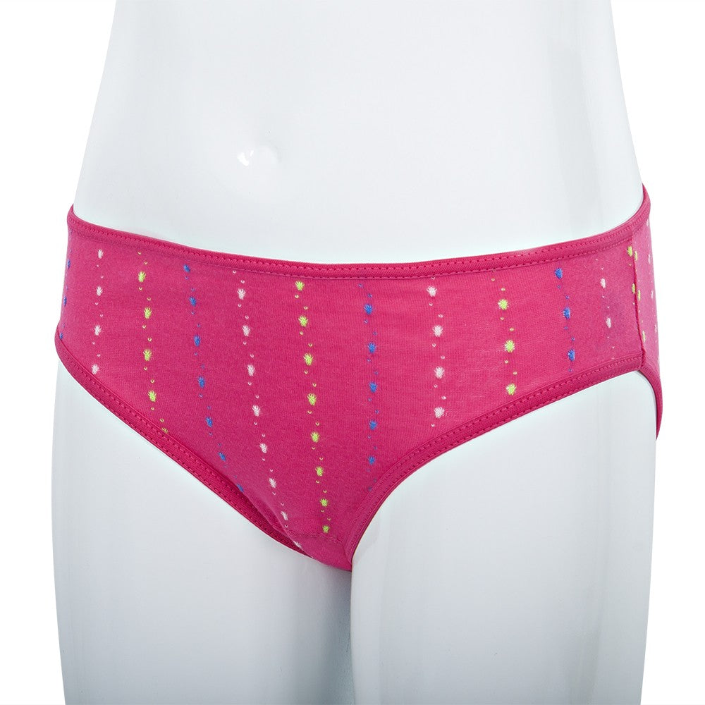 5504 BRAGUITA BORDADA MULTICOLOR 744-Frambuesa