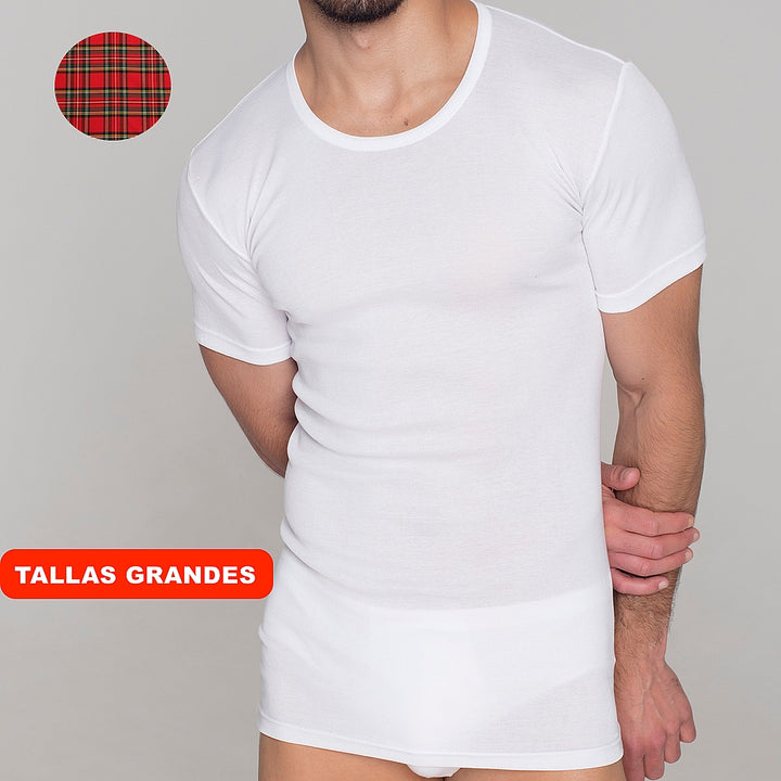 5241b CAMISETA MANGA CORTA HILO DE ESCOCIA