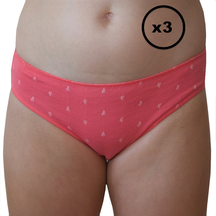 5505 PACK DE 3 BIKINIS BORDADO ABETO